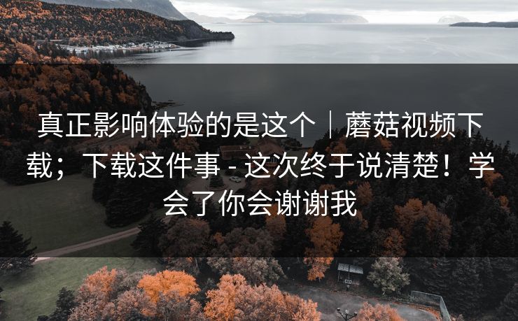 真正影响体验的是这个｜蘑菇视频下载；下载这件事 - 这次终于说清楚！学会了你会谢谢我